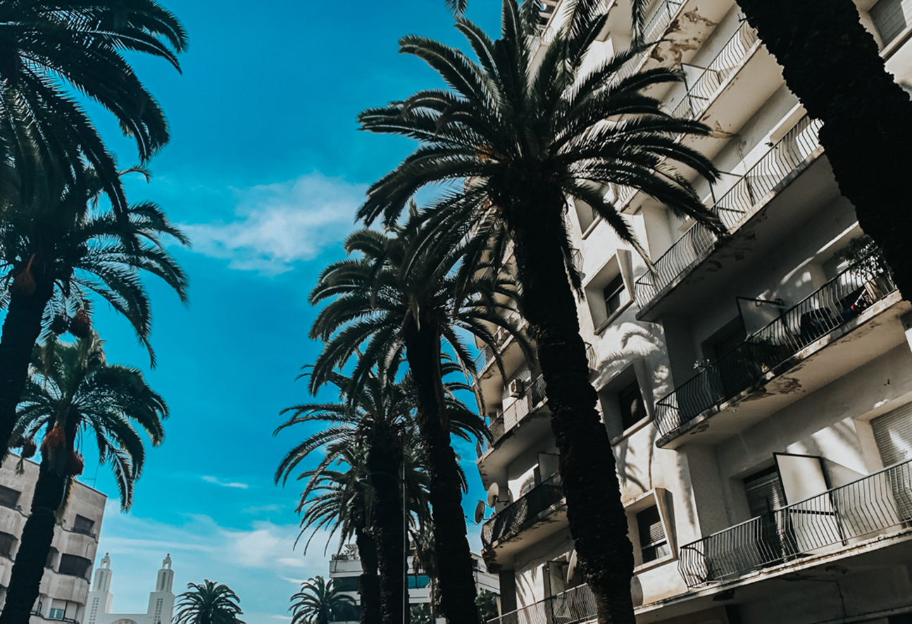 Navigating Travel Credit Cards: Your Ultimate Guide to Rewards and Perks in Casablanca